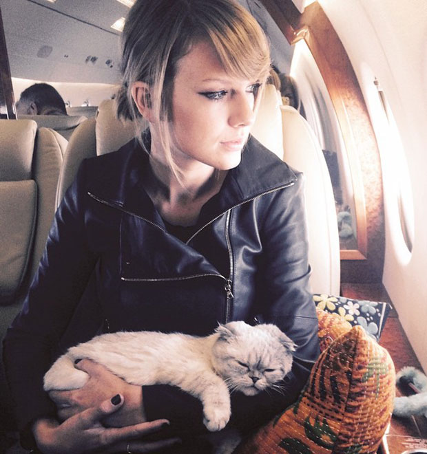 Calvin Harris tem alergia às gatinhas de Taylor Swift