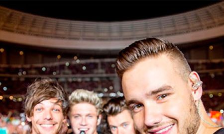 Qual <i>One Direction</i> é o seu?