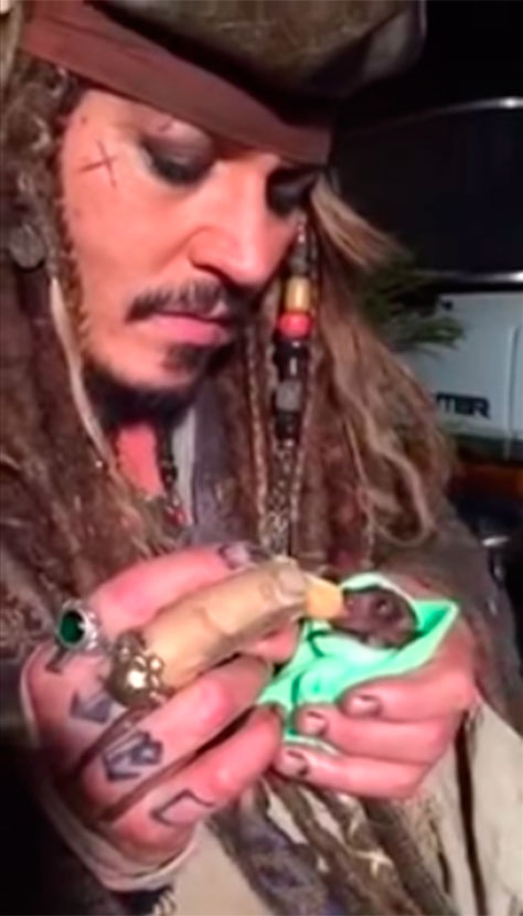 Johnny Depp é um bom pai para seu morcego