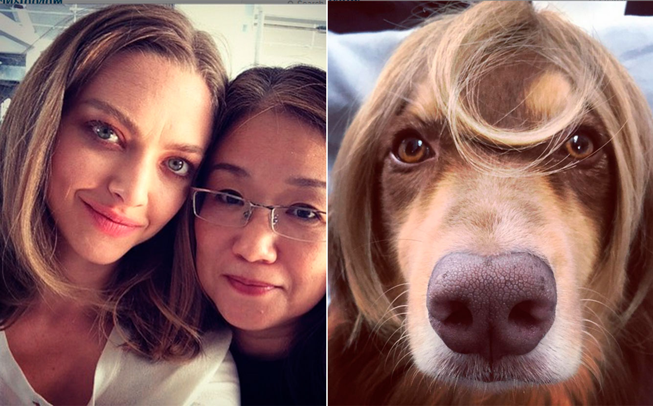 Amanda Seyfried radicaliza o visual e seu cachorro entra na onda