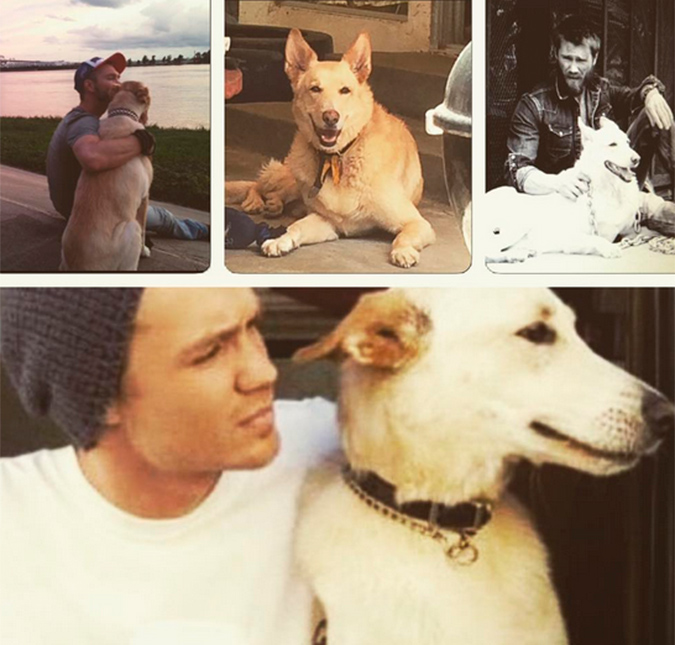 Chad Michael Murray, de <i>One Three Hill</i> lamenta morte de cachorro em rede social