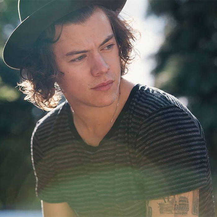Harry Styles pensa em mudar o rumo da carreira!