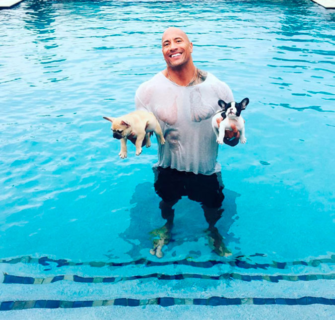 Dwayne Johnson mostra que realmente é astro de filmes de ação ao pular na piscina para salvar seus cachorrinhos!