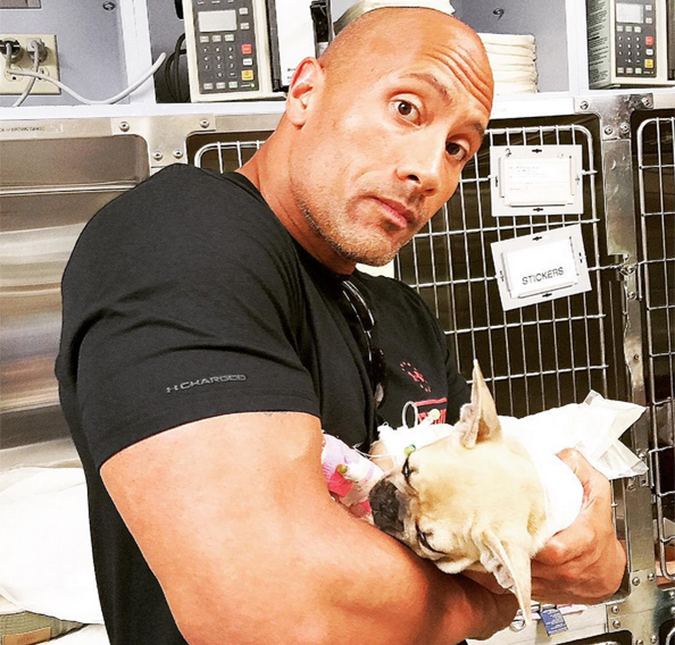 Dwayne Johnson, o <i>The Rock</i>, diz que não conseguiu salvar seu cachorrinho pela segunda vez