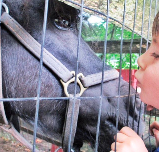 Gisele Bündchen mostra momento fofíssimo de seu filho!