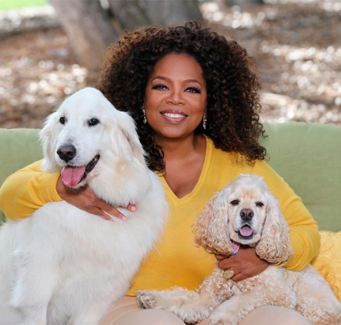 Oprah Winfrey desabafa sobre caso de <i>filho secreto</i>!