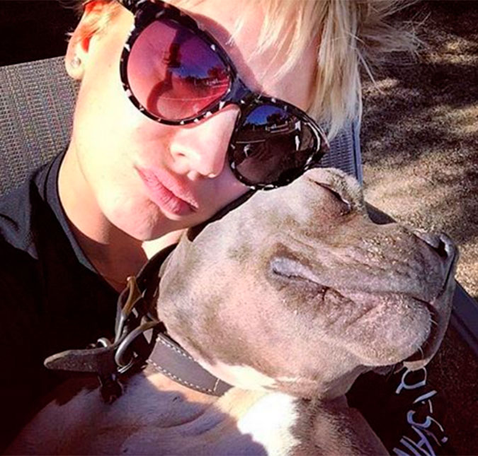 Kaley Cuoco superou ano difícil com muitas lambidas, entenda!