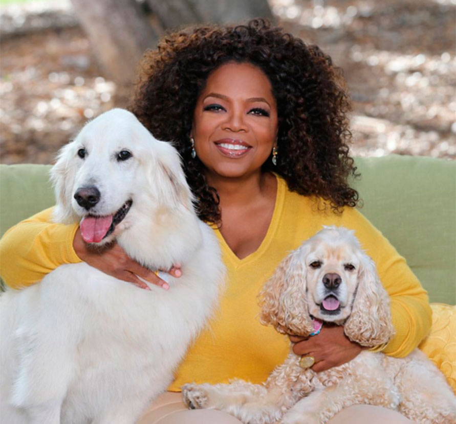 Oprah Winfrey defende o trabalho das Kardashians, saiba mais!