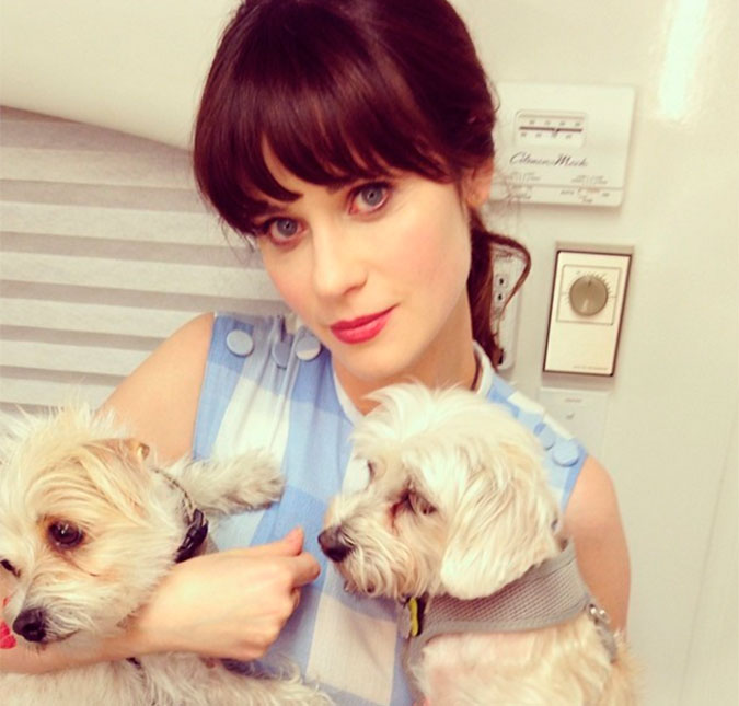 Zooey Deschanel mostra que faz tudo por amor, entenda!