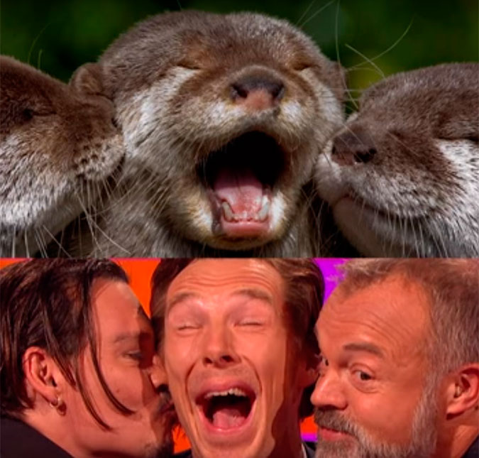 Johnny Depp, Benedict Cumberbatch e Graham posam imitando lontras. Veja o vídeo!