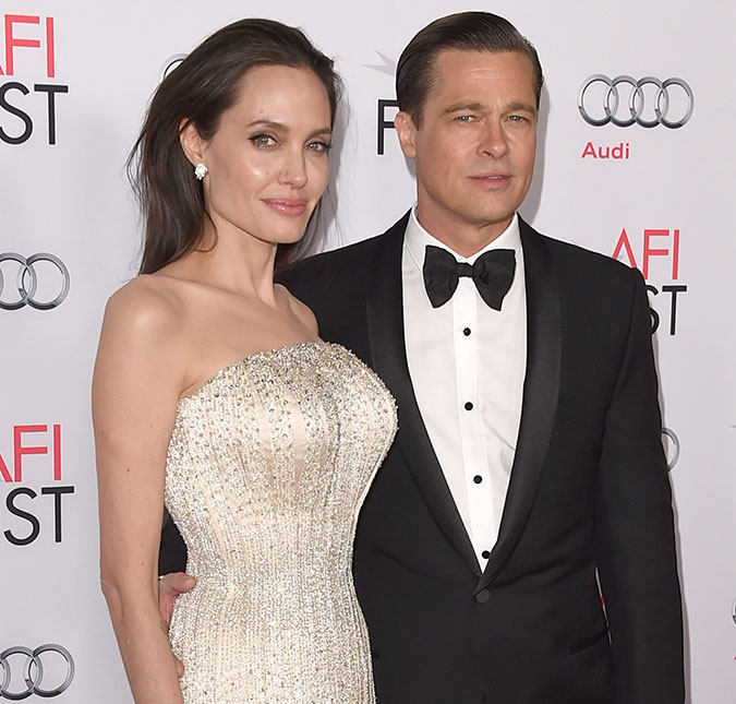 Brad Pitt revela vontade de ter <i>dúzia de filhos</i>