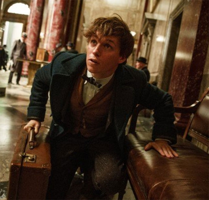 Confira o <i>trailer</i> de <i>Animais Fantásticos e Onde Habitam</i>, filme que antecede <i>Harry Potter</i>!