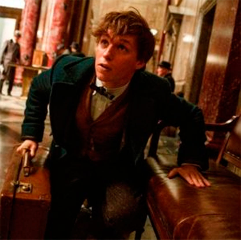 Eddie Redmayne na família Weasley, de <i>Harry Potter</i>? Entenda!