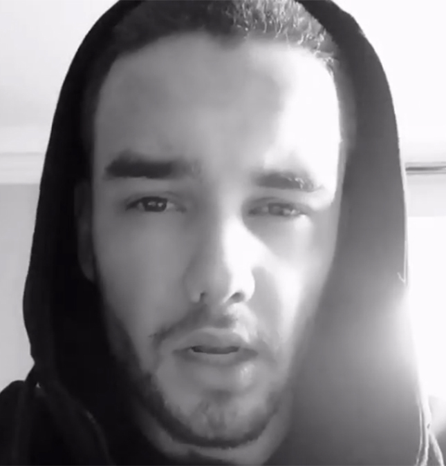 Liam Payne faz alegria de fãs ao compartilhar vídeo cantando música solo