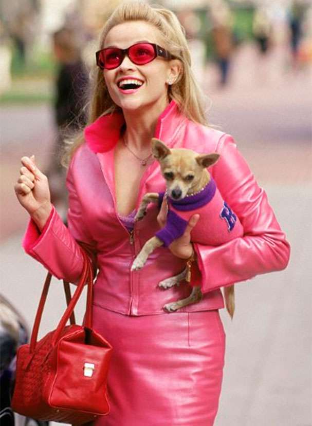 O mundo é delas! Veja 7 patricinhas dos filmes que amamos! Estrelando O mundo é delas! Veja 7 patricinhas dos filmes que amamos! Estrelando