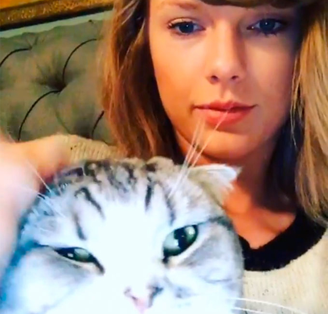 Taylor Swift tem um jeito fofo de curtir o tempo livre