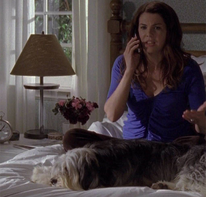 Paul Anka, cãozinho adorável de Lorelai e Rory, também está confirmado no <i>revival</i> de <i>Gilmore Girls</i>!