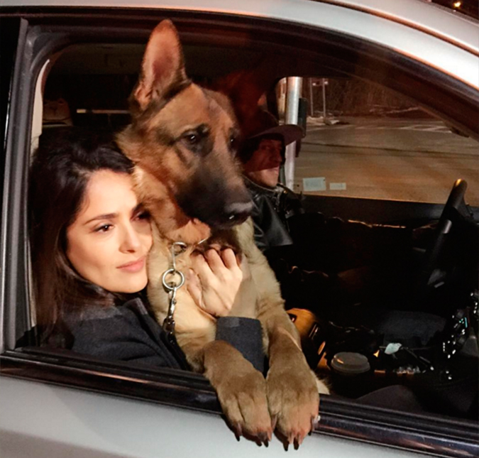 Vizinho de Salma Hayek foi o autor do tiro que matou seu cachorro de estimação