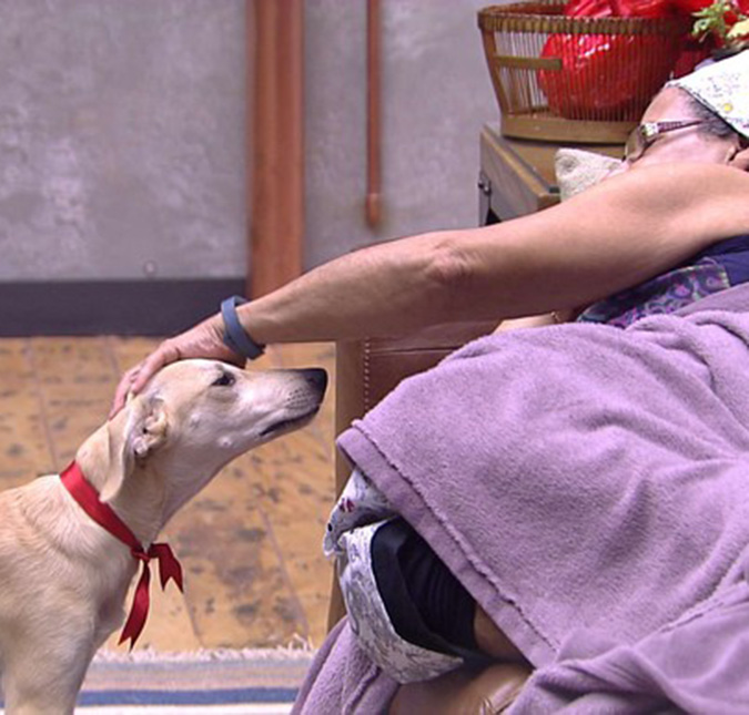 A cachorrinha Ana