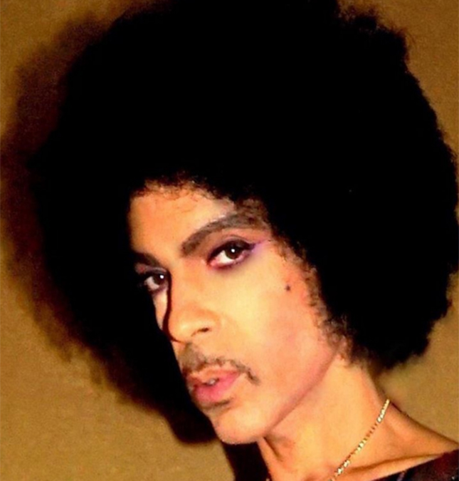 Advogado de Prince diz que entorpecentes não foram o motivo da morte do cantor, entenda!