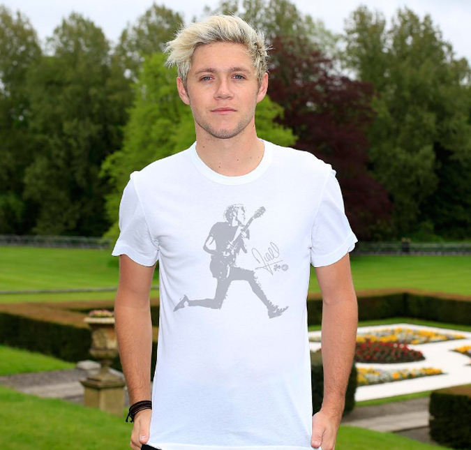 Nial Horan, integrante do <i>One Direction</i>, se irrita com <i>haters</i> e exagera na resposta