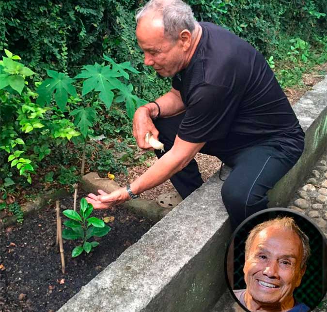 Stênio Garcia diz que planta uma árvore para cada amigo seu que morre, entenda!