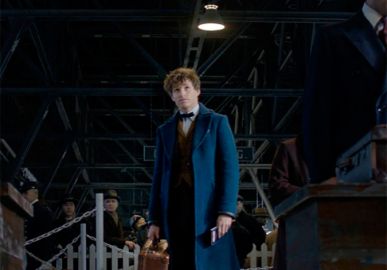 Conheça Newt Scamander, personagem principal de <I>Animais Fantásticos e Onde Habitam</I>, em um vídeo explicado pela própria J.K. Rowling!