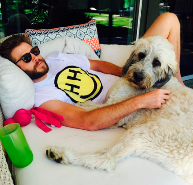 Miley Cyrus não esconde seu amor por Liam Hemsworth e publica foto fofíssima na <i>web</i>, vem ver!