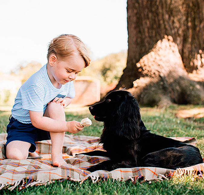 Entenda por que a foto do Príncipe George com o cachorro está gerando polêmica