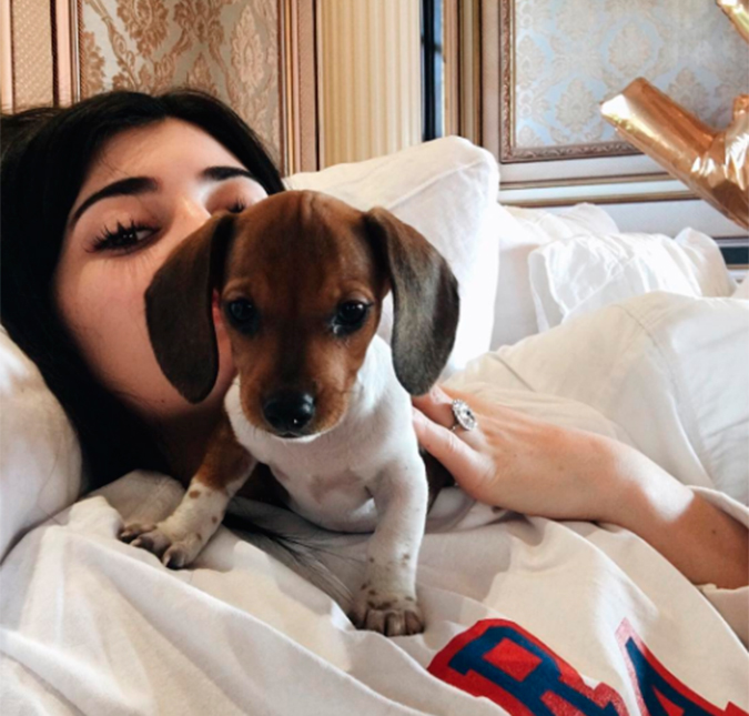 Kylie Jenner ganha filhote de presente de aniversário adiantado