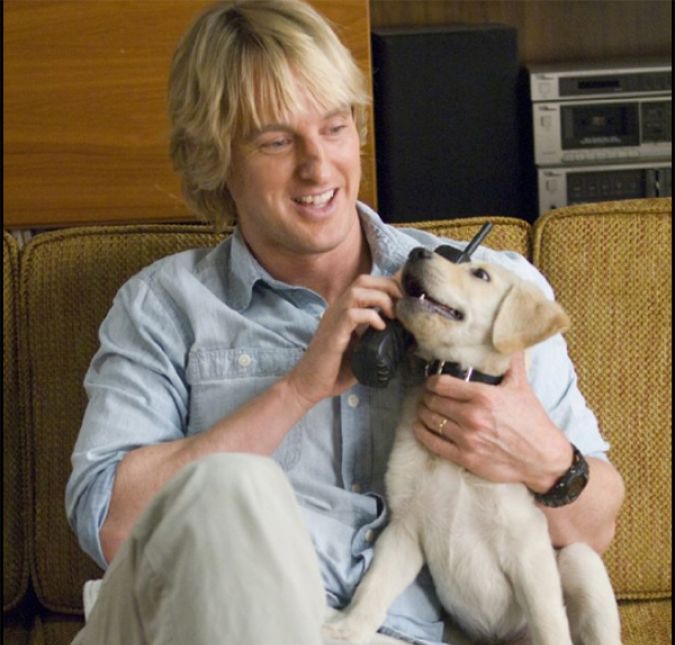 Cachorros, gatos, ratinhos e até baleias... estes bichos certamente fizeram todo mundo morrer de amores!