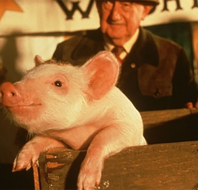 O próprio nome do filme já diz tudo! Babe é um porquinho lindo, mas que causa um monte de confusão por onde passa. E também por conta disso, não tem como não morrer de amores por esse bichinho todo rosa! Dá até vontade de ter um porquinho também.