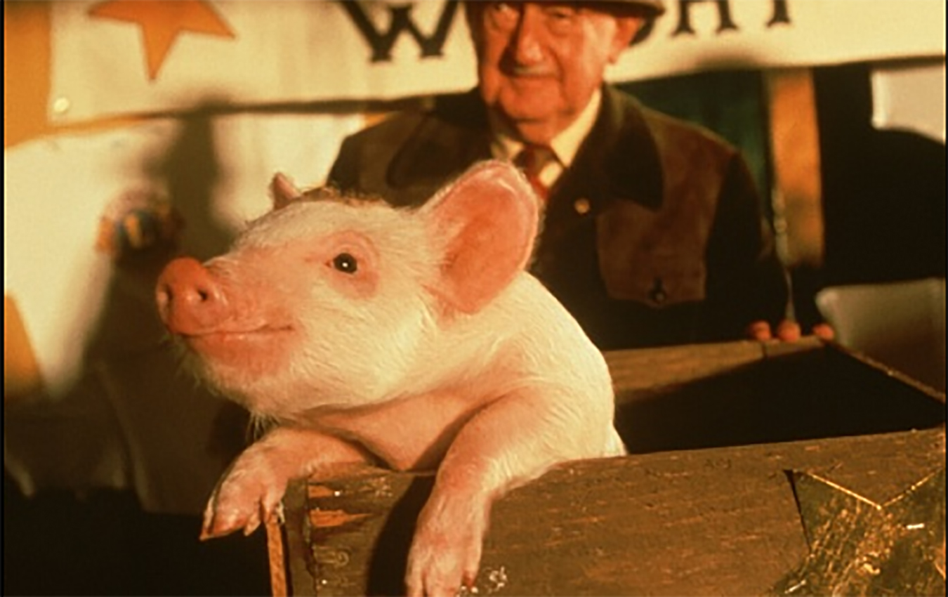 <i>Babe - O Porquinho Atrapalhado</i>