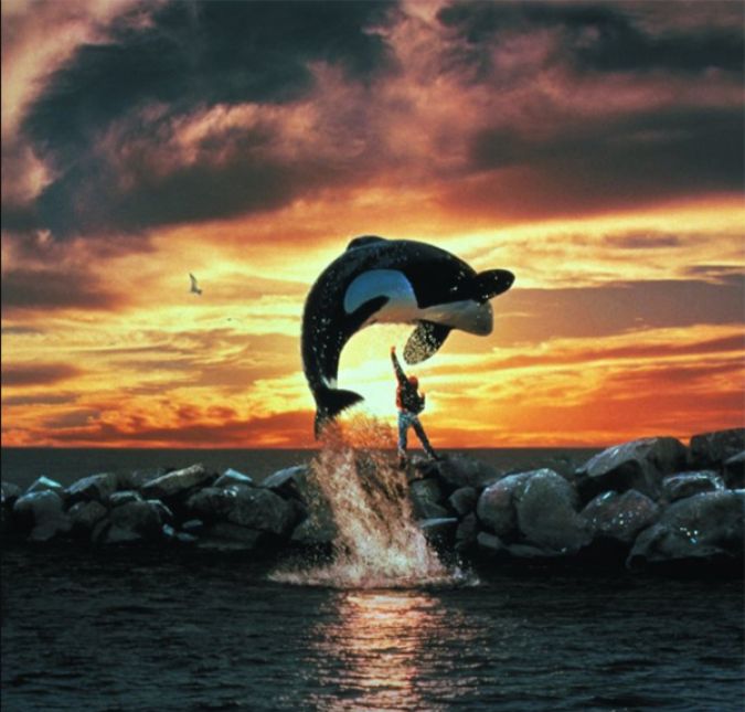 Você já imaginou ter uma baleia de estimação? Parece algo improvável? Pois é exatamente isso que acontece em Free Willy, já que o protagonista do longa tratava a baleia como se ela fosse um animalzinho doméstico. Nós da redação do ESTRELANDO até ficamos imaginando como seria cuidar de um bichinho tão diferente!