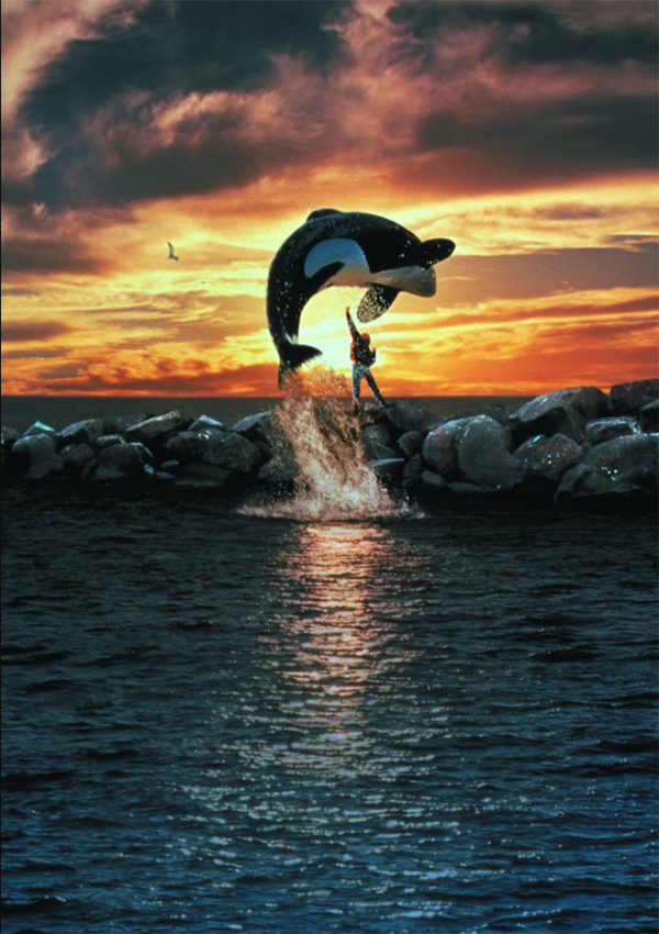 <i>Free Willy</i>