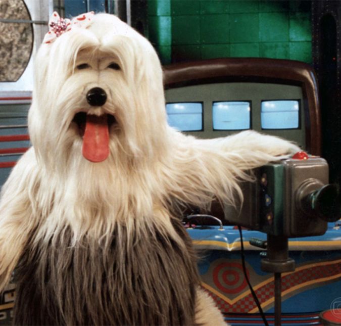 Substituindo o Xou da Xuxa, tivemos TV Colosso, que foi ao ar pela primeira vez em 1993.  A atração trazia pessoas vestidas como cachorros e os animais comandavam uma emissora de televisão! A principal era a Priscilla, mas também havia o buldogue Borges, que colocava os desenhos animados. O programa terminava sempre na hora do almoço e, por isso, um chef de cozinha avisava com sotaque francês que a comida já estava na mesa!