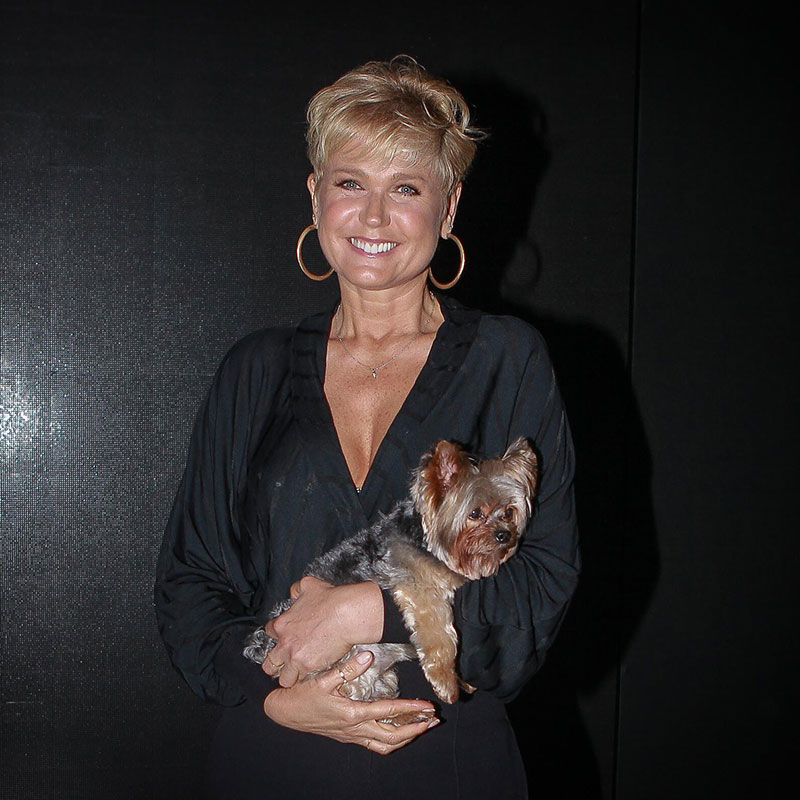 Após lançar canal de vídeos na <i>internet</i>, Xuxa diz que está amando o resultado, mas entrega: <i>Tem muita coisa para aprender, não sei fazer nada</i>