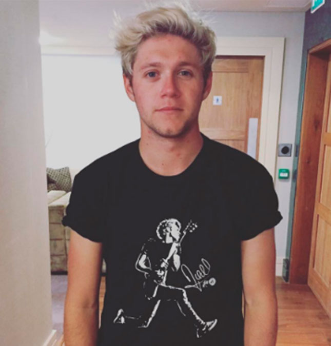 Niall Horan fala sobre <i>One Direction</i>: - <i>Seria idiota ridículo se nós não voltarmos</i>