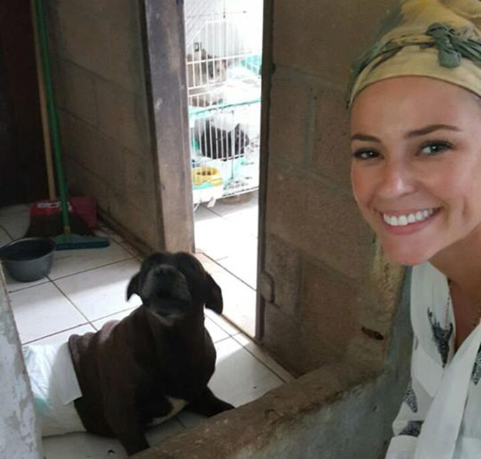 Paolla Oliveira se emociona ao visitar <I>ONG</I> especializada em cuidados para animais de rua, veja!