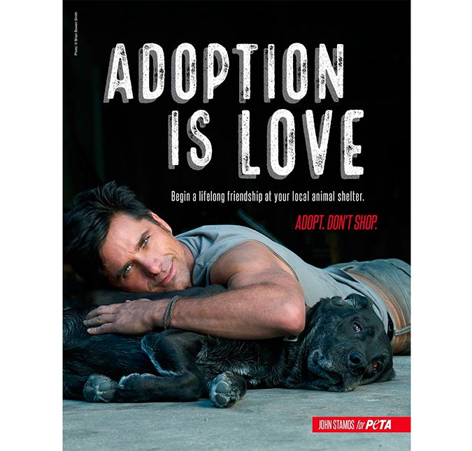 John Stamos aparece abraçando cachorro em campanha de adoção, entenda!