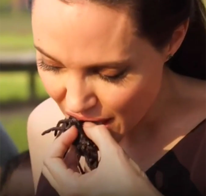 Angelina Jolie cozinha tarântulas, grilos e escorpiões e come com os filhos, assista ao vídeo!