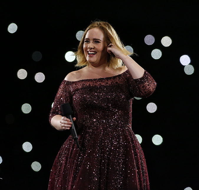 Adele surta durante <i>show</i> por causa de mosquito, assista ao vídeo!