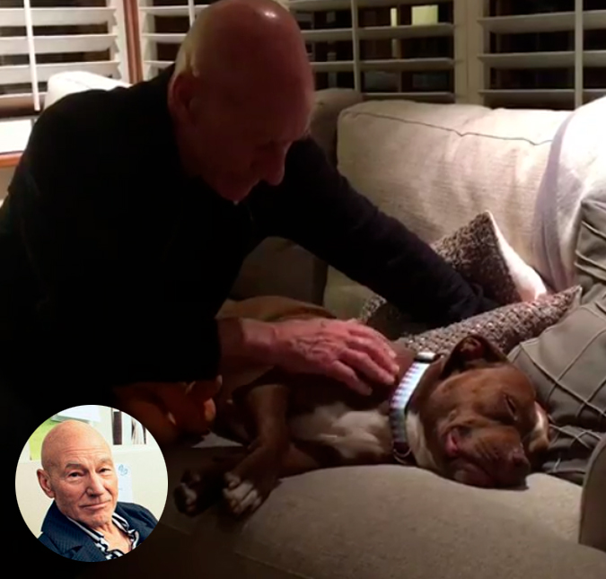 Patrick Stewart, o Professor Xavier de <i>X-Men</i>, está apaixonado por seu novo cachorro, vem ver!