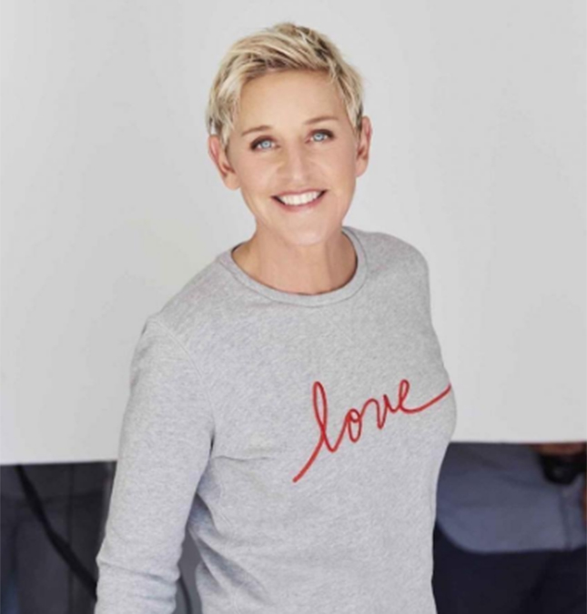 Ellen DeGeneres relembra época que revelou ser homossexual: <i>- Eu não tinha ideia do ódio que existia</i>