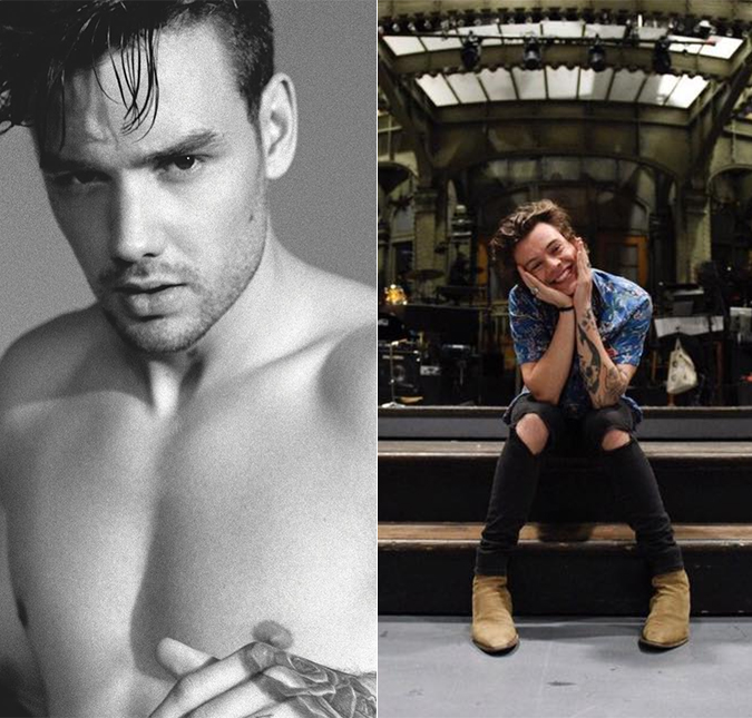 Liam Payne diz que não gostou da música de Harry Styles