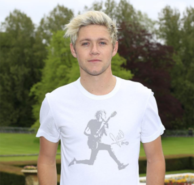 Niall Horan revela que reunião do <i>One Direction</i> deve acontecer antes do que você imagina