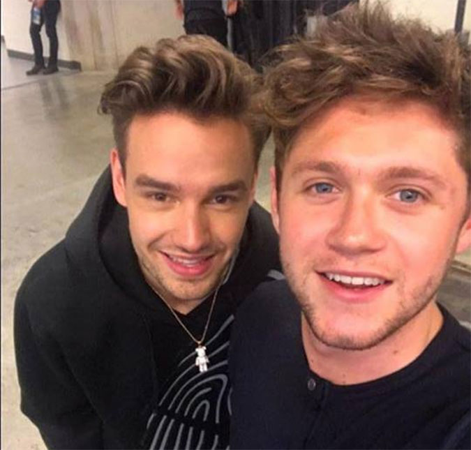 Liam Payne e Niall Horan se encontram em evento de música