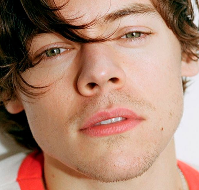 Ciência explica porque Harry Styles tem um rosto tão perfeito, vem ver!