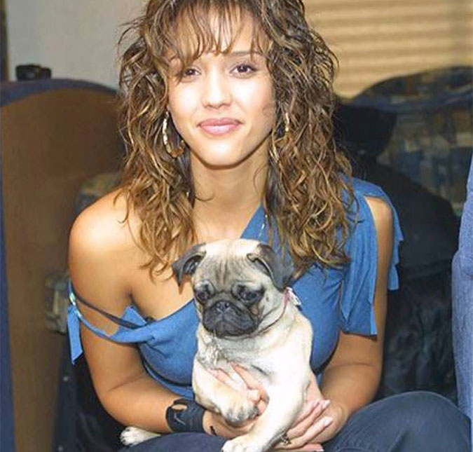 Jessica Alba faz <i>post</i> emocionante para anunciar a morte de sua cachorra