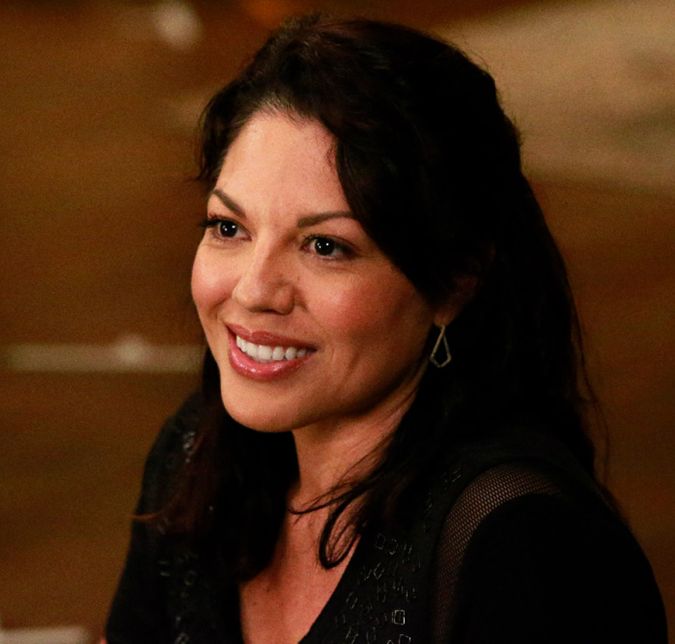 A Dra. Callie Torres acabou deixando a trama médica na décima segunda temporada. Entretanto, Callie se deu bem e saiu viva da série, simplesmente indo viajar para Nova York para ficar com sua namorada, Penny. Menos mal, não acha?